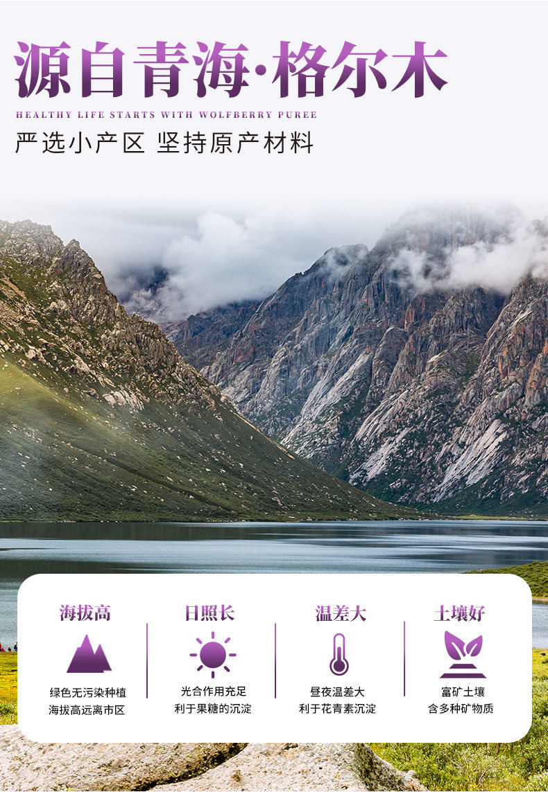 老农杞黑枸杞原浆青海格尔木原产黑枸杞鲜榨原浆50ml*10瓶/盒