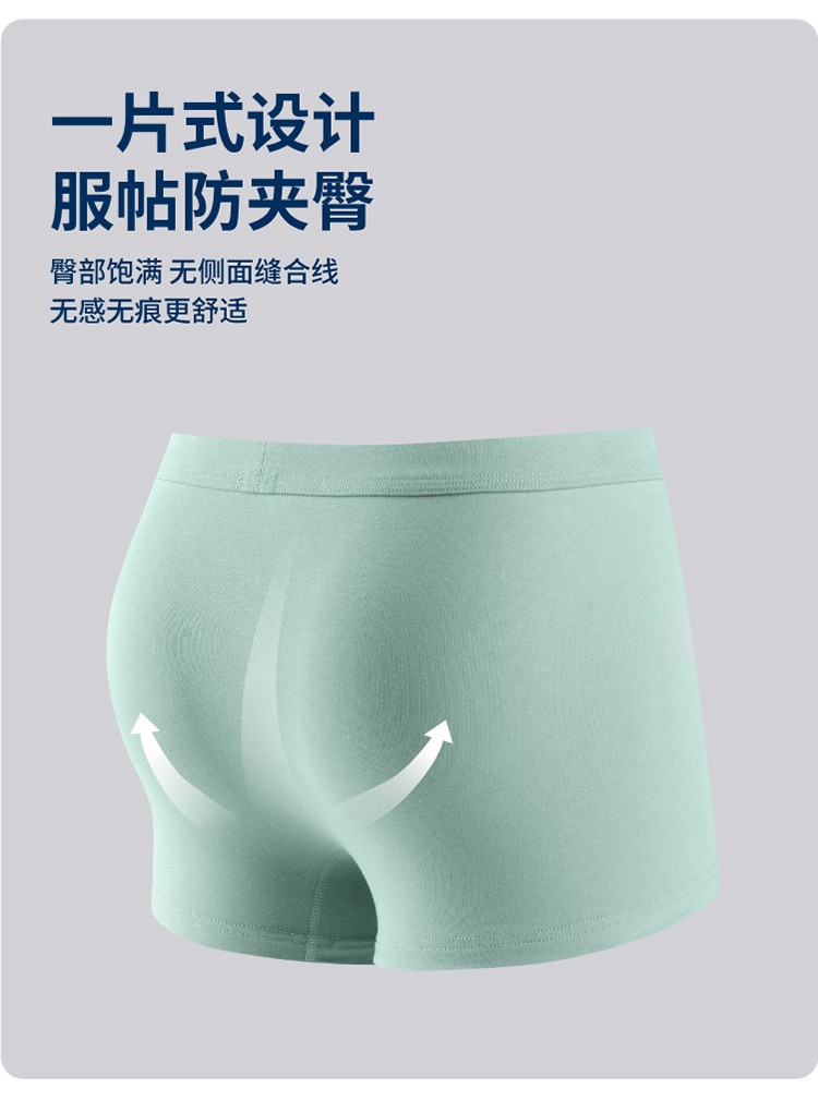 纤丝鸟 （3条装）国家AAA级抑菌标准高支高密新疆长绒棉超柔男士平角裤ZC2003