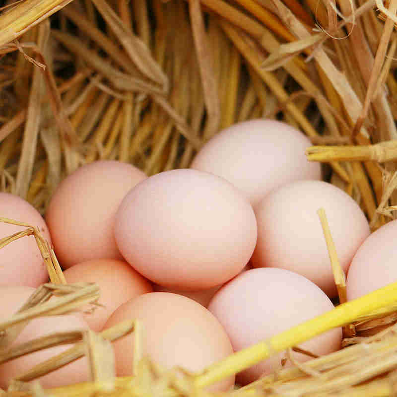 爱苜粉壳土鸡蛋散养鸡蛋 营养绿色农产品30枚装（净重三斤以上）