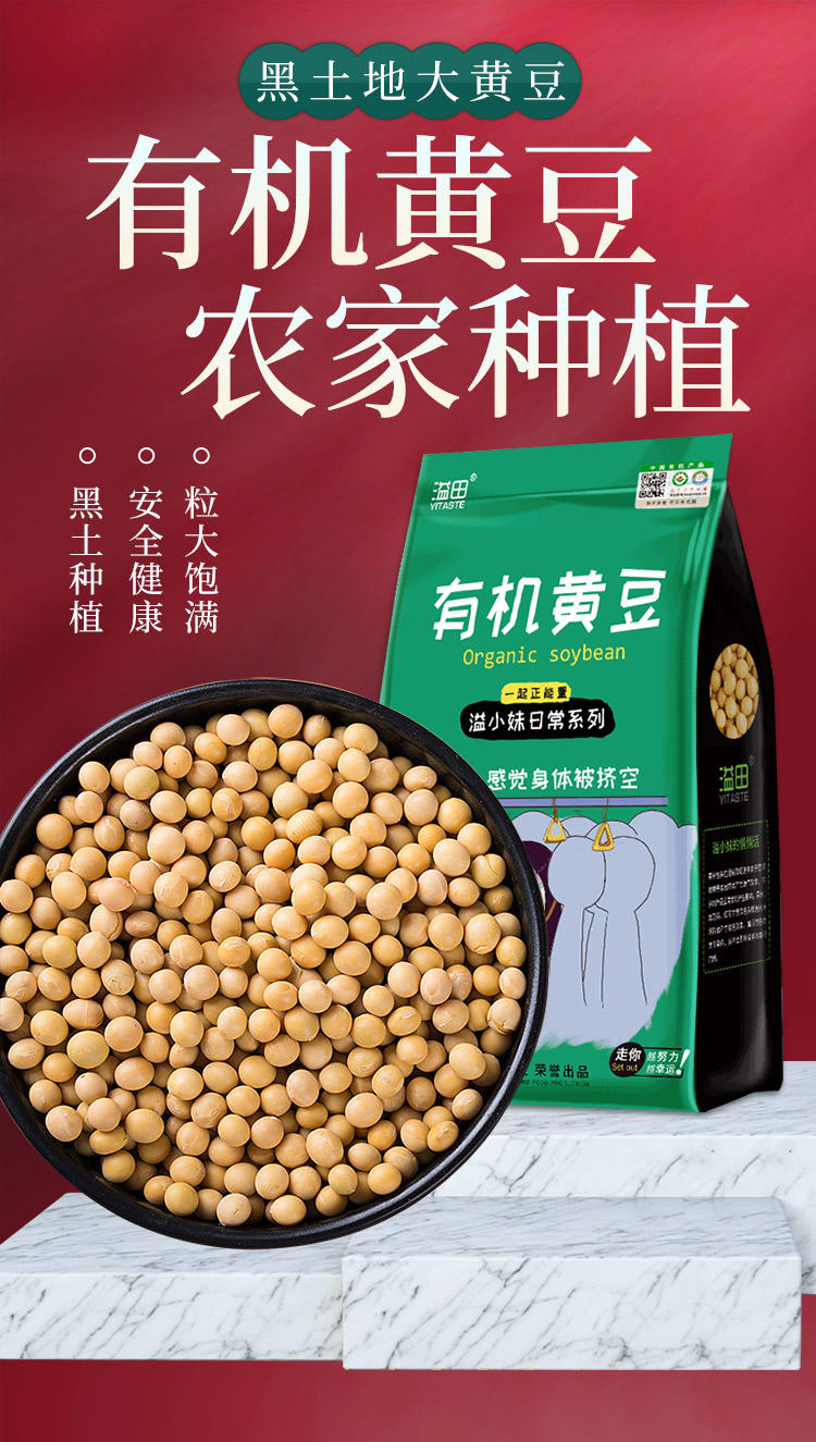 溢小妹HL系列有机黄豆800g