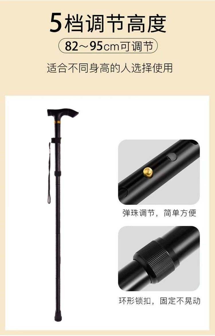 猎燕登山杖黑色