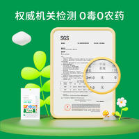植气防护手环12条（花园） CO-B02-G-12