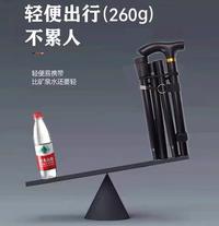 猎燕登山杖黑色