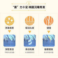 云南白药养元青小养无硅油生姜洗发水净爽控油蓬松 养元青强根健发洗发水（生姜）500ml*2瓶装
