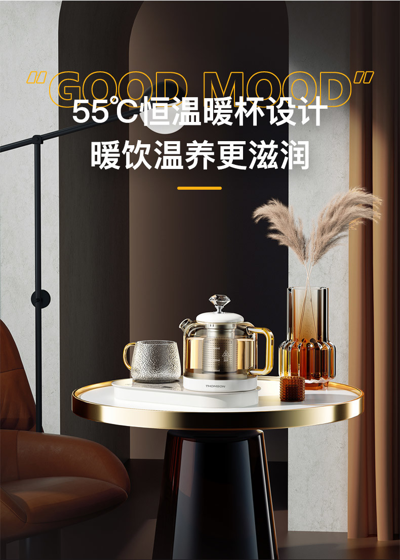 汤姆逊 液体加热器(养生壶) C-T0312