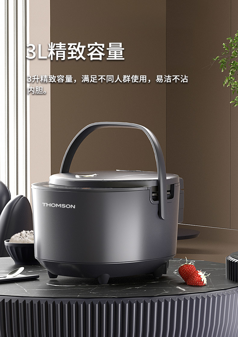 汤姆逊 微电脑电饭煲 C-T0418