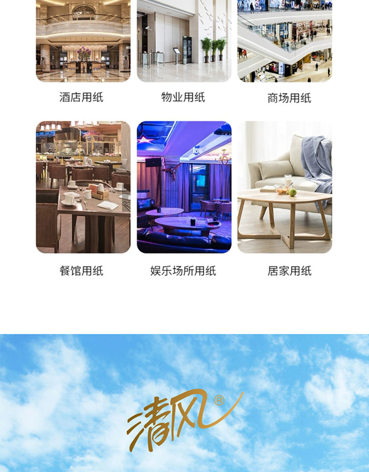 清风商用245段有芯卷筒纸10卷/提 B22AA3S