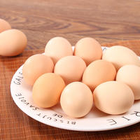 农家土鸡蛋散养走地鸡整箱20枚装草鸡蛋柴鸡蛋鲜鸡蛋