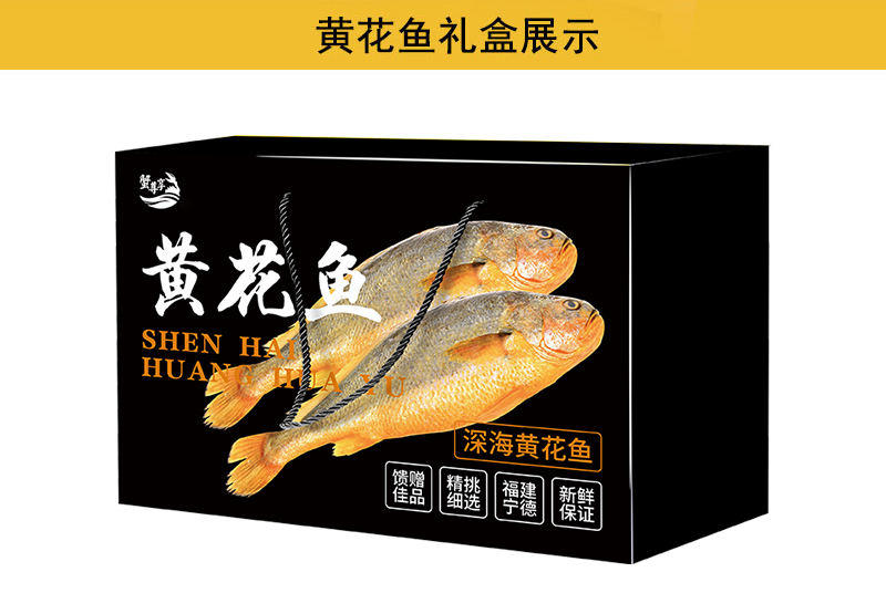 蟹尊享深海鲜活高品质大黄鱼礼盒—588型（约2500g）