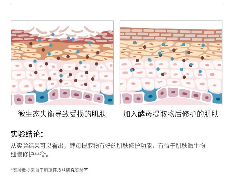 肌琳莎五菌合一酵母洁净面膜乳