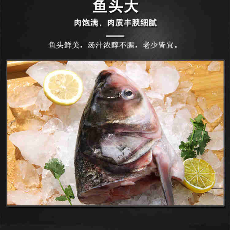 朋鱼宴298型东北野生胖头鱼5-6斤（鱼卡）