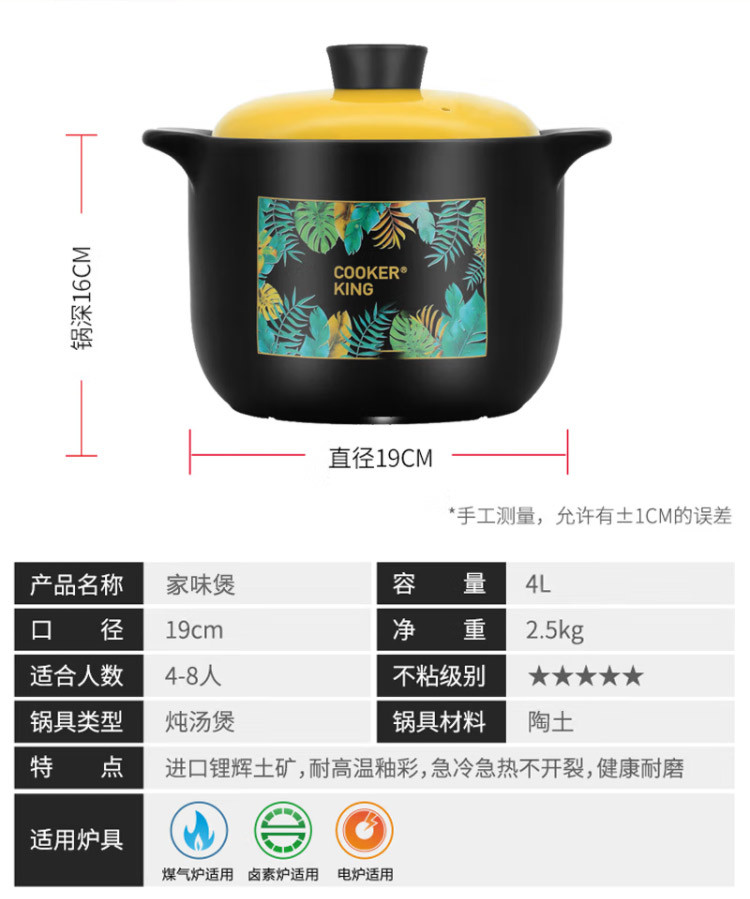 炊大皇 家味煲 TCX3852