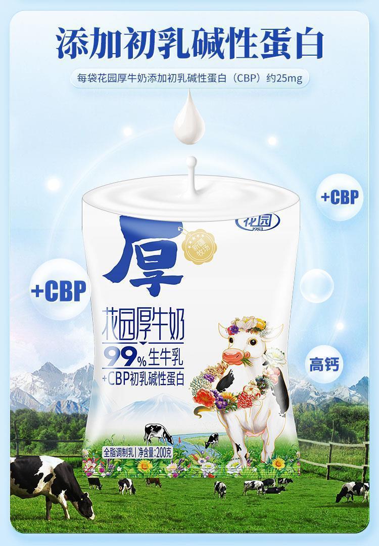 花园 厚牛奶新疆纯牛奶初乳提取CBP成骨因子 高钙3.4蛋白营养早餐