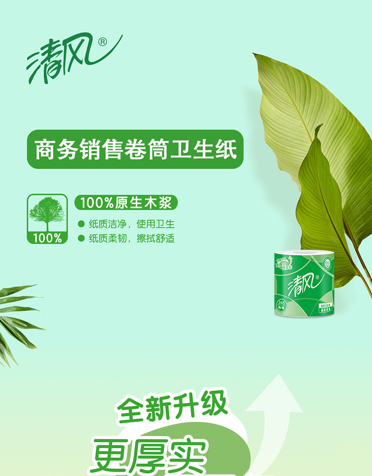 清风商用245段有芯卷筒纸10卷/提 B22AA3S