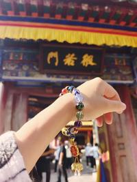 【五台山直发】五台山--大圆满 十八籽（手串）