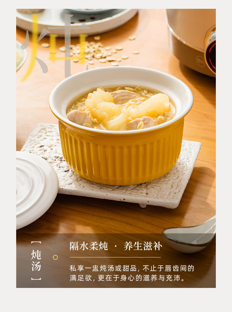 东菱（Donlim） 多功能蒸炖锅 家用电蒸锅 电炖盅煲汤煮粥蒸汽锅隔水炖 料理锅（煮锅+汽锅）DL-9009