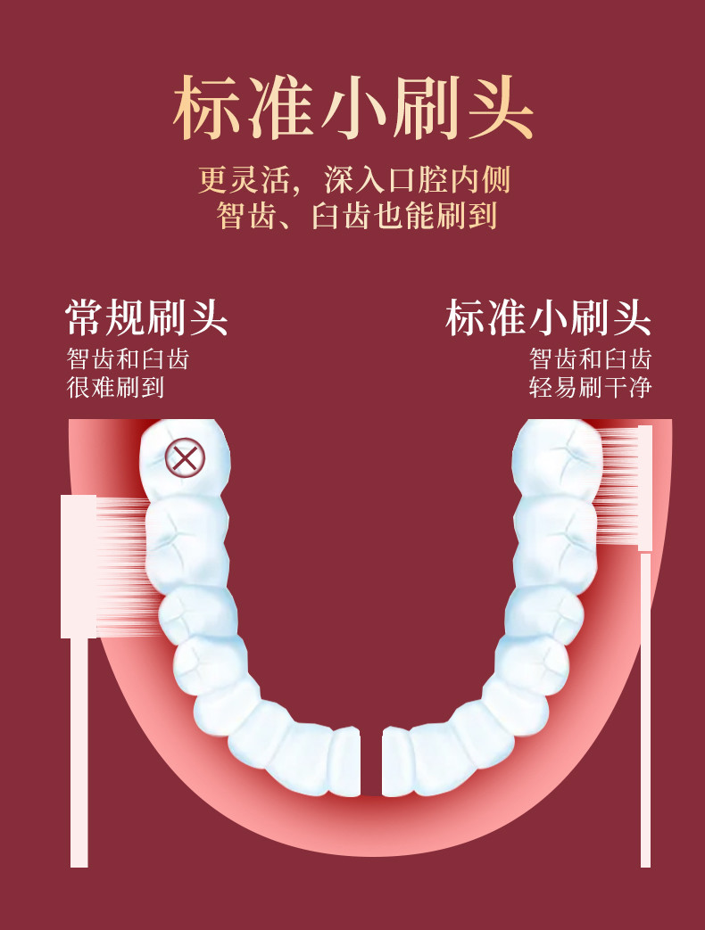 蓝天六必治云柔万根毛牙刷2支（五组组合）