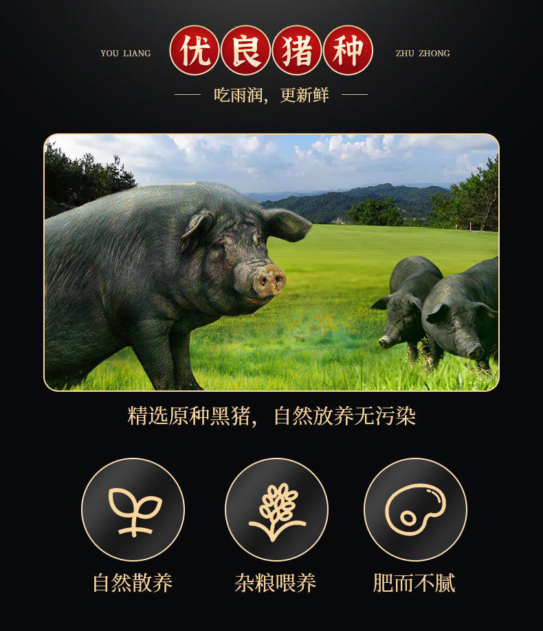 雨润生鲜原生态黑猪肉1088型汤骨块/五花肉/梅花肉大礼包
