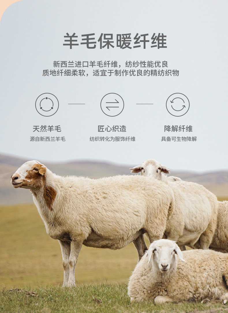 纤丝鸟 蚕丝羊毛女士暖阳BRA双纹长袖打底衫BQ2303