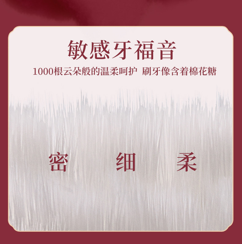 蓝天六必治云柔万根毛牙刷2支（五组组合）