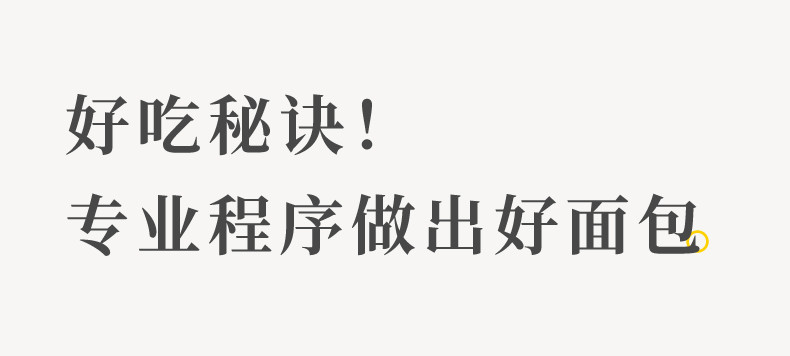东菱面包机DL-4705