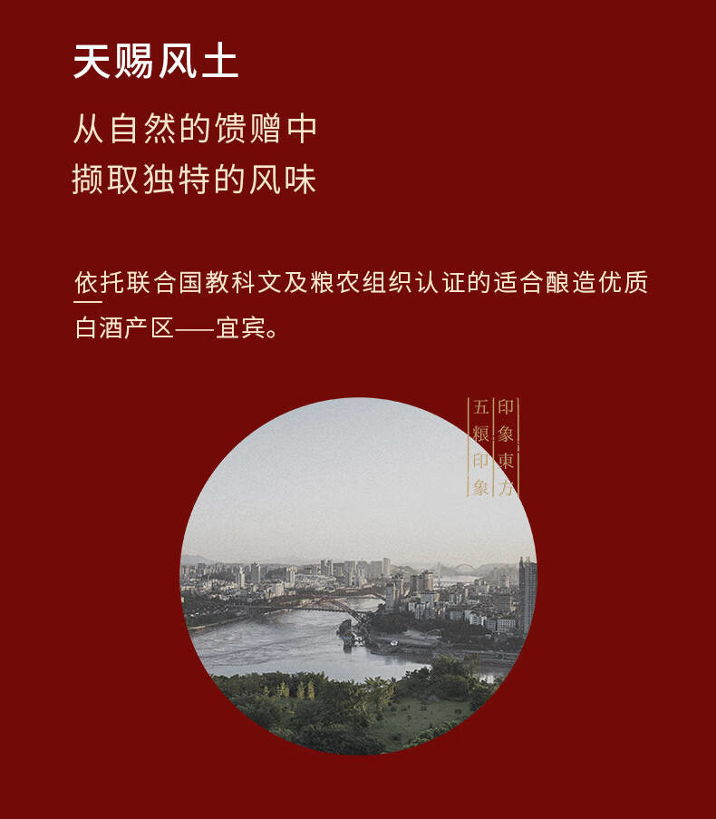 正品五粮液52度浓香型白酒五粮印象鸿运当头500ml