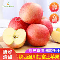 源兴陕西洛川富士苹果家庭装75-80果4.5斤
